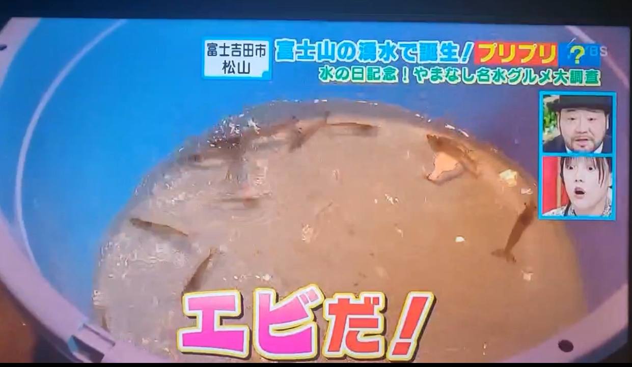 メディア掲載実績 4